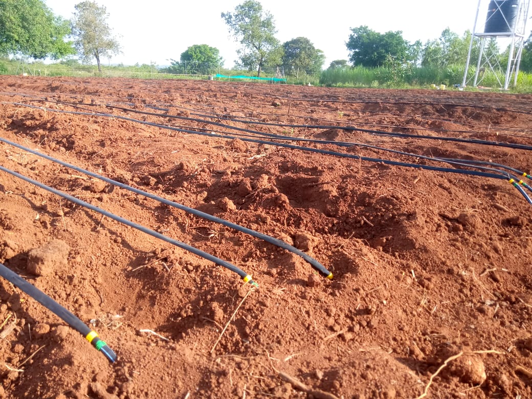 Soil Testing
