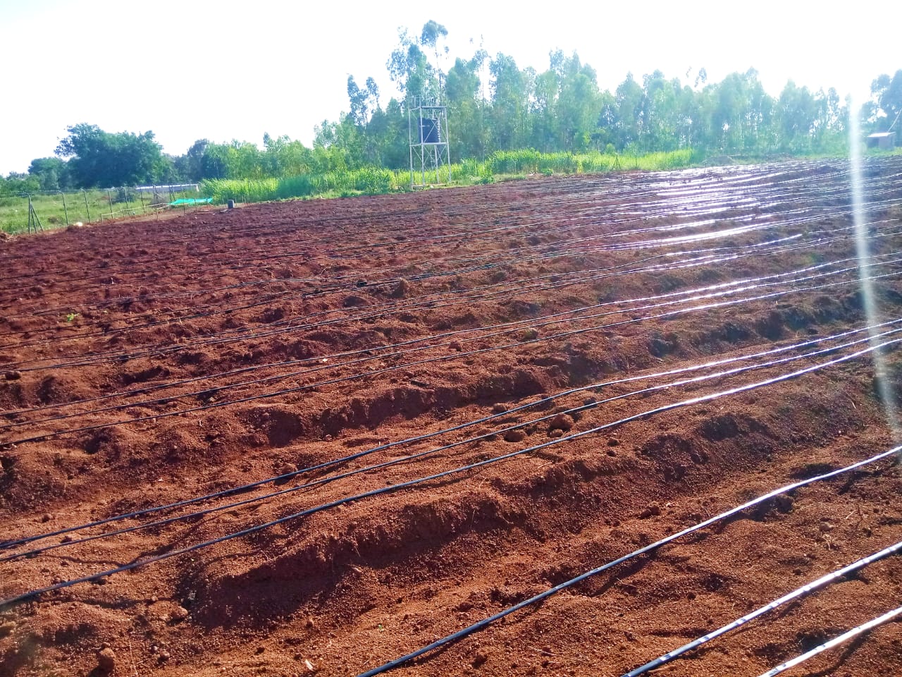 Irrigation Fixing