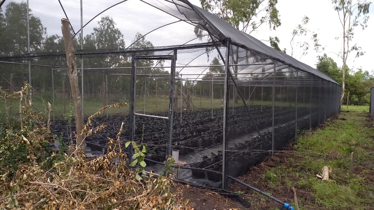 Shade Net Structure for farming