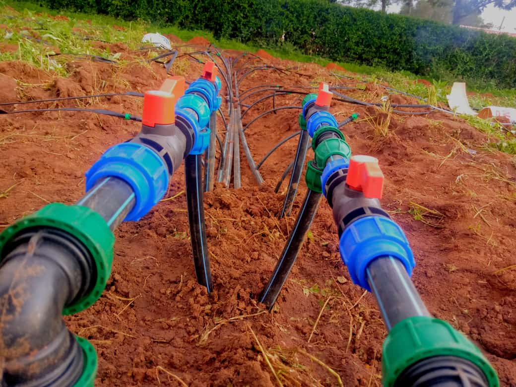 Water Testing