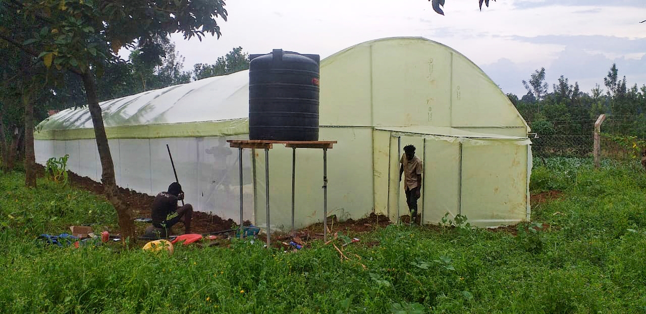 Polycarbonate paneled Greenhouse