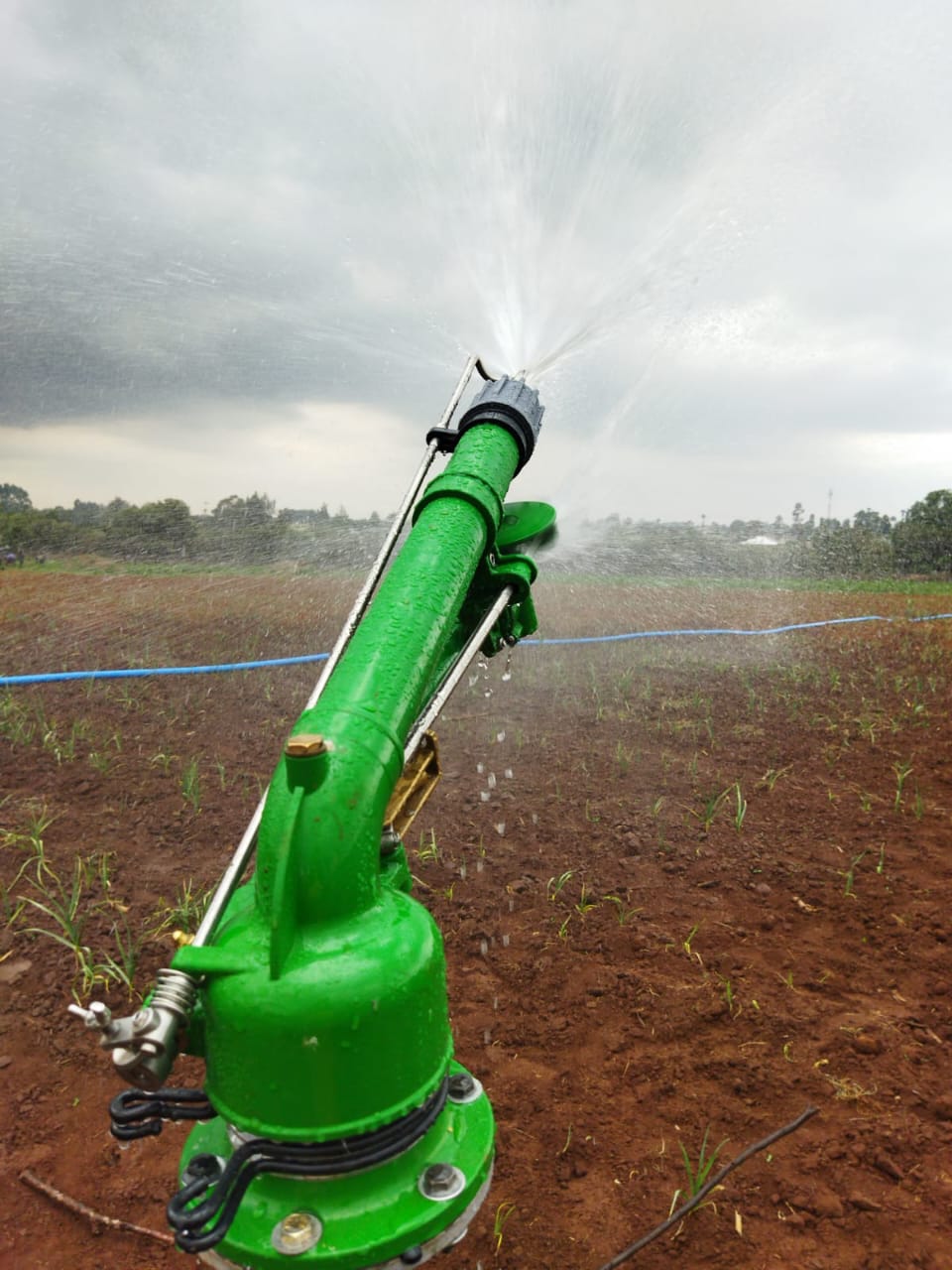 Sprinkler Irrigation covering crops