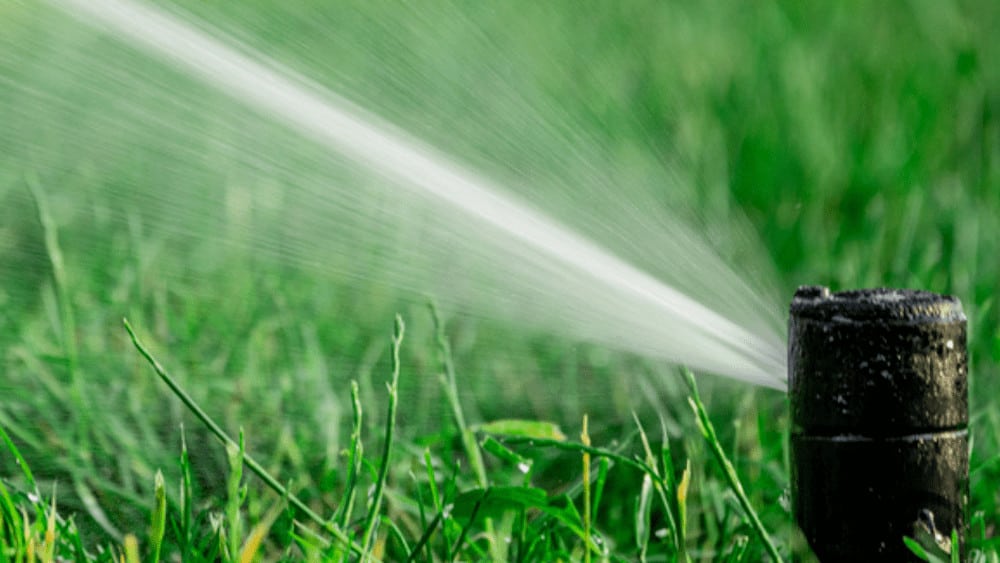 Solar-powered Irrigation System setup